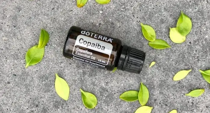 dōTERRA Copaiba