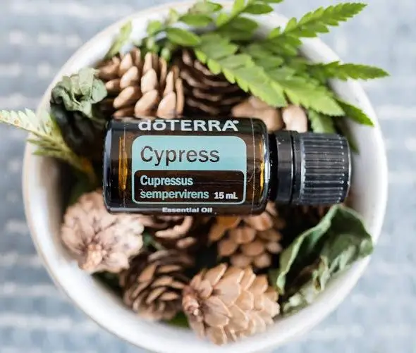 dōTERRA Cypress